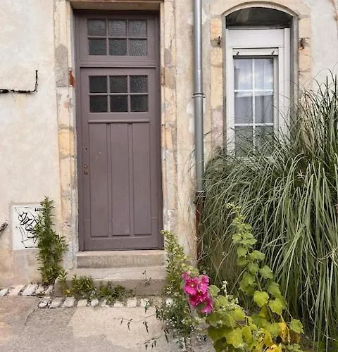 Le Rousseau * Digione